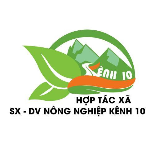 HTX Kênh 10