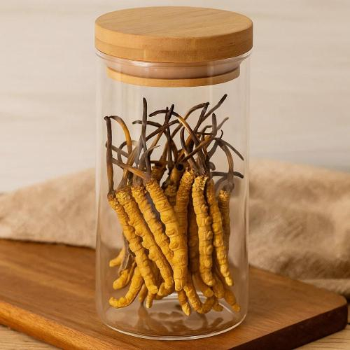 Phân Biệt Đông Trùng Hạ Thảo Thật – Giả Như Thế Nào?