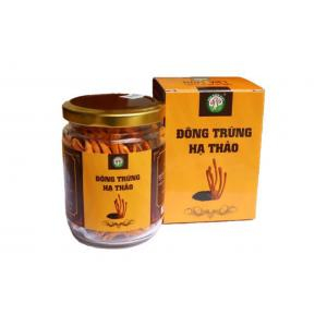Mua trà đông trùng hạ thảo khô ở đâu thì chất lượng?