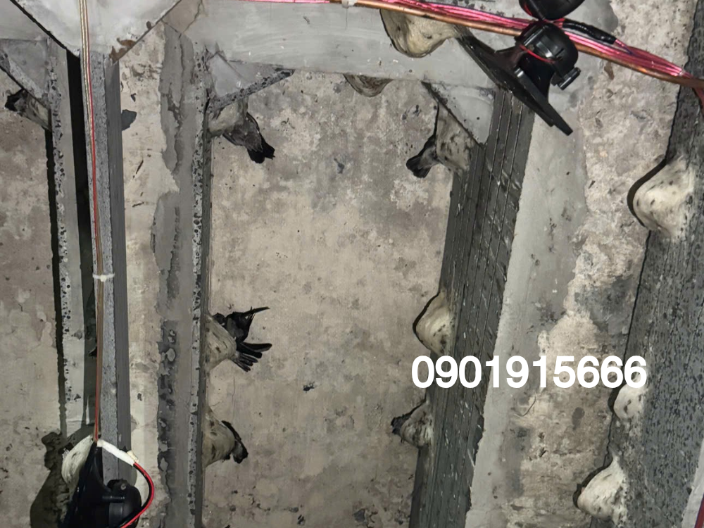 Thành phần dinh dưỡng vượt trội của yến sào