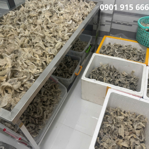 Hướng Dẫn Bảo Quản Tổ Yến Tinh Chế Đúng Cách Để Giữ Trọn Dinh Dưỡng