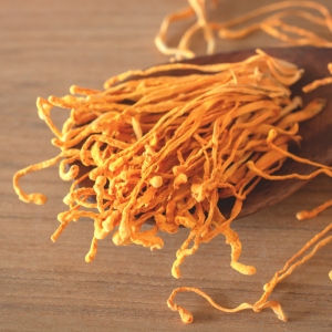 So Sánh Giữa Đông Trùng Hạ Thảo Và Các Loại Dược Liệu Quý Khác