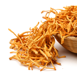 Có Nên Dùng Đông Trùng Hạ Thảo Cho Trẻ Em Và Phụ Nữ Mang Thai?