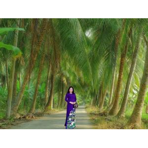 Công Ty TNHH Vĩnh Tiến