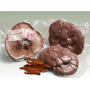 Nuong Farm Premium Organic Big Size Reishi Mushroom Whole Cap – 120g