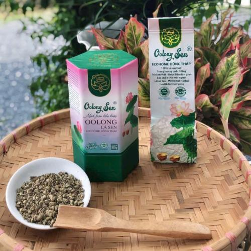 Thế Nào Là Trà Oolong Sen? – Hương Vị Giao Hòa Giữa Tinh Túy Núi Rừng Và Thanh Khiết Của Sen Việt