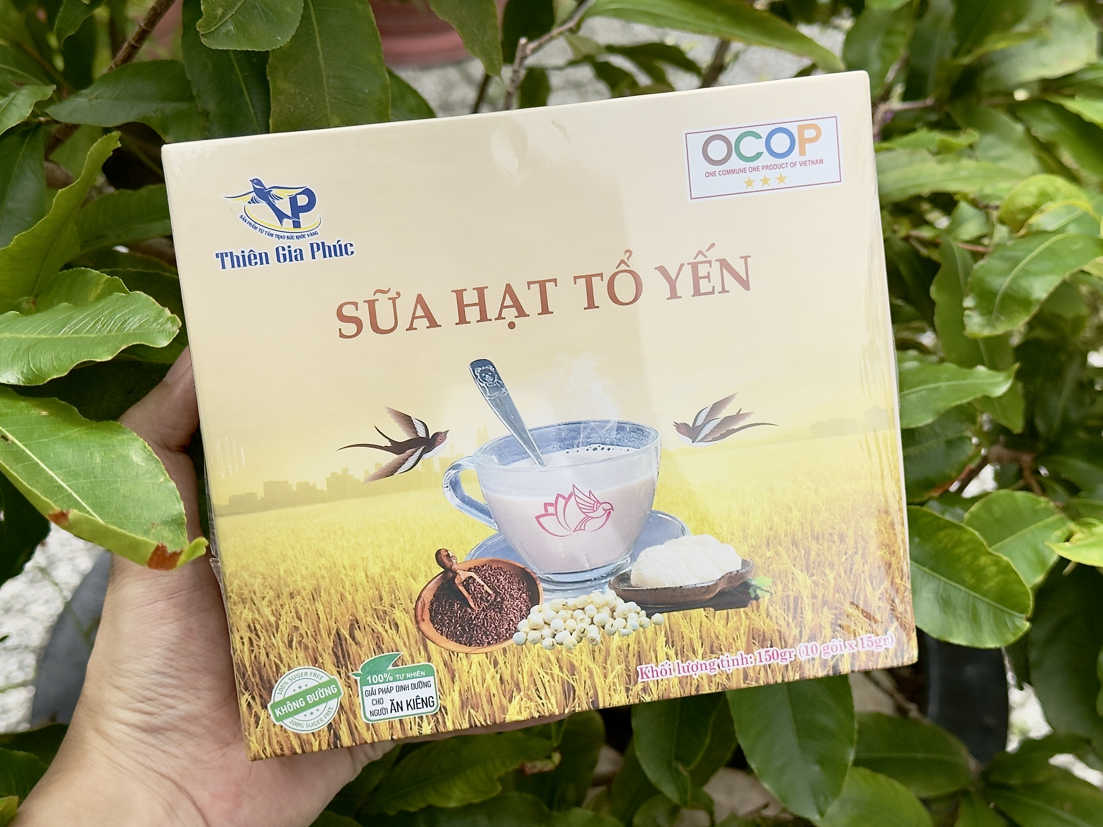 Câu chuyện Sữa hạt tổ yến