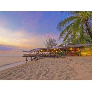 Công Ty TNHH Sinh Thái Việt