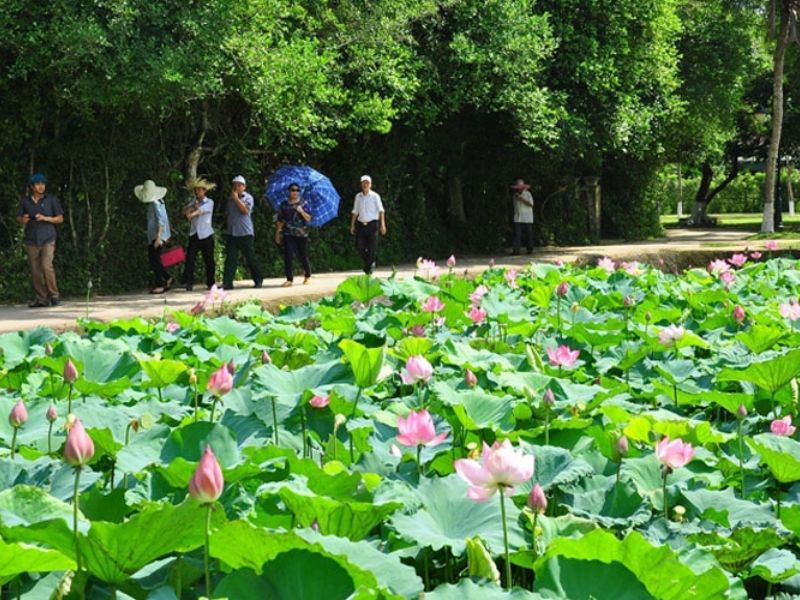 Văn hóa và du lịch