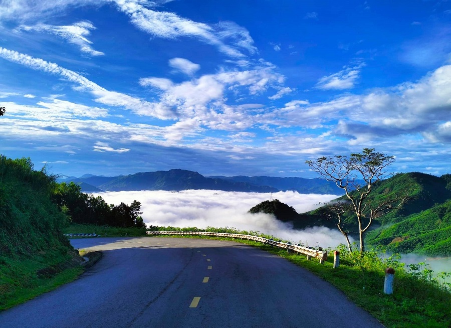 Giới thiệu tỉnh Quảng Ngãi