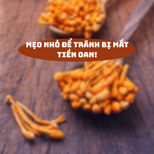 Cách Nhận Biết Đông Trùng Hạ Thảo Thật – Giả