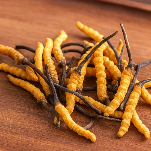 Lưu Ý Một Số Tác Dụng Phụ Nếu Dùng Đông Trùng Hạ Thảo Sai