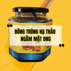 Công Dụng Của Đông Trùng Hạ Thảo Ngâm Mật Ong