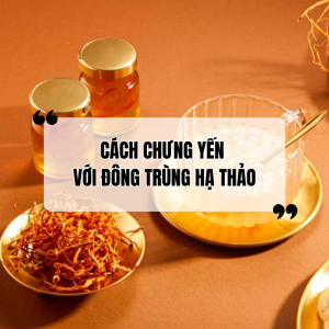 Cách Chưng Yến Với Đông Trùng Hạ Thảo