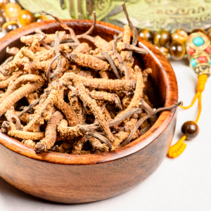 5 Tuyệt Kỹ Dùng Đông Trùng Hạ Thảo Giúp Cơ Thể Hấp Thu Tối Đa