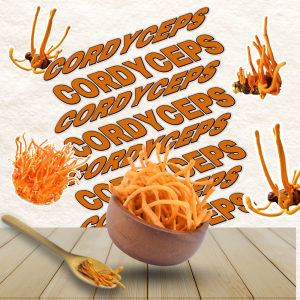 Cách Làm Sạch Đông Trùng Hạ Thảo Đúng Cách