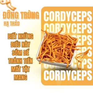 Những Yếu Tố Ảnh Hưởng Đến Chất Lượng Của Đông Trùng Hạ Thảo