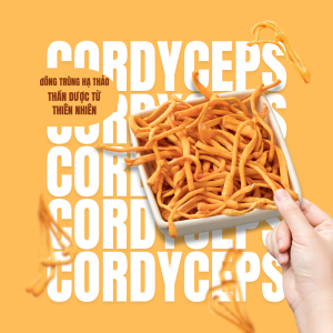 Sử Dụng Đông Trùng Hạ Thảo Nhiều Có Gây Tác Dụng Phụ Không?