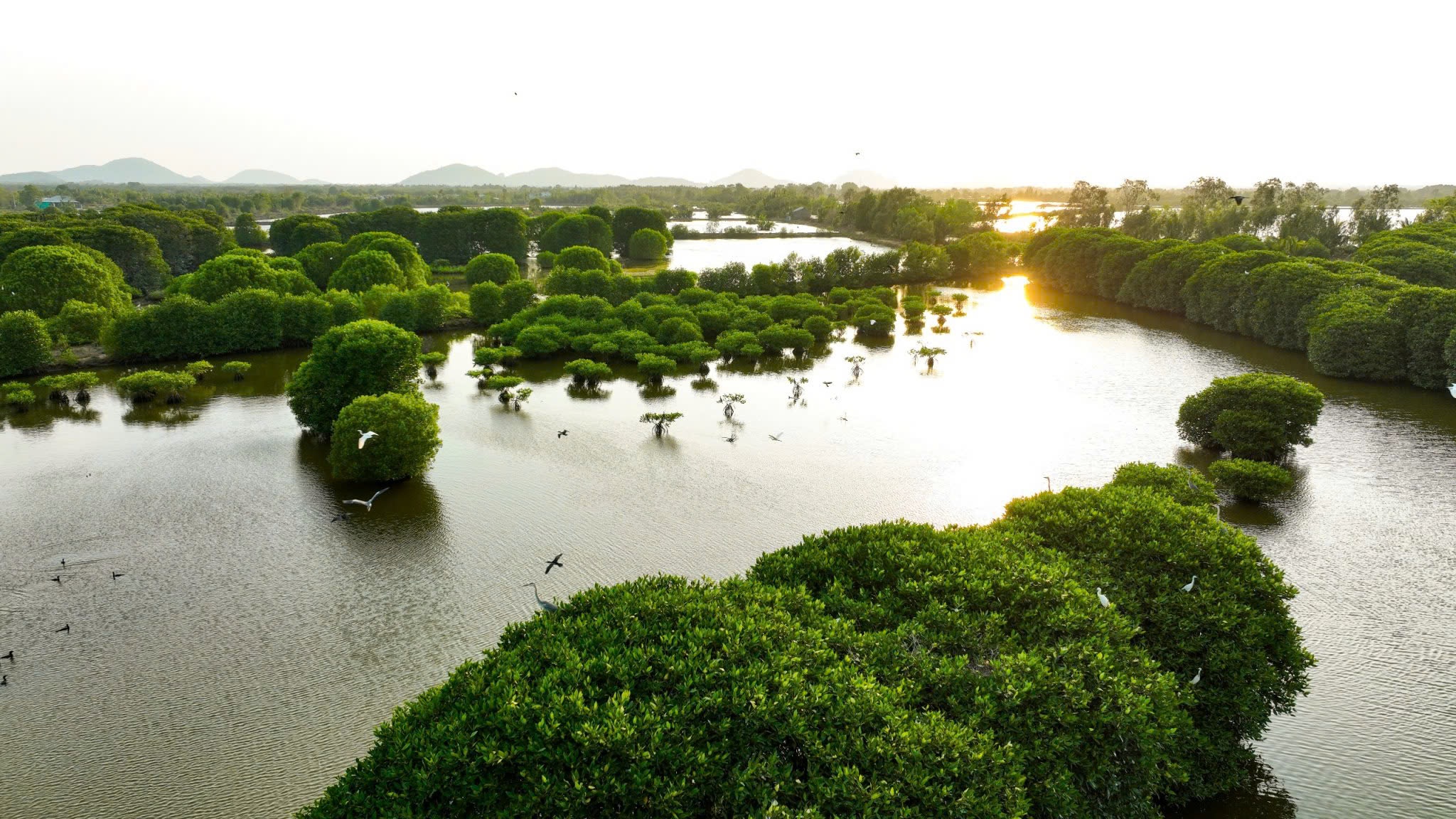 Giới thiệu