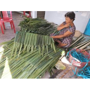Giới thiệu