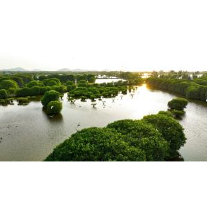 Giới thiệu