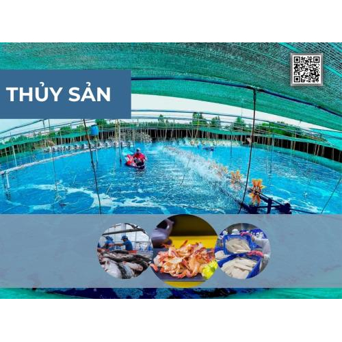 Gian Hàng Số Tỉnh An Giang Tại VNIS2025 | Triển Lãm Kết Nối Chuỗi Cung Ứng Quốc Tế