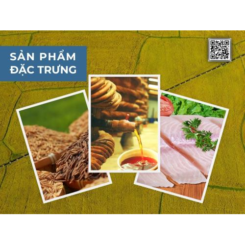 Gian Hàng Số Tỉnh An Giang Tại VNIS2025 | Triển Lãm Kết Nối Chuỗi Cung Ứng Quốc Tế