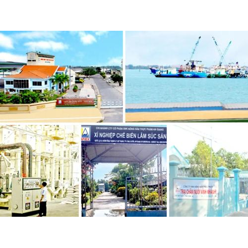 Công Ty Cổ Phần Xuất Nhập Khẩu Nông Sản Thực Phẩm An Giang