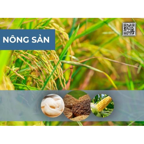 Gian Hàng Số Tỉnh An Giang Tại VNIS2025 | Triển Lãm Kết Nối Chuỗi Cung Ứng Quốc Tế