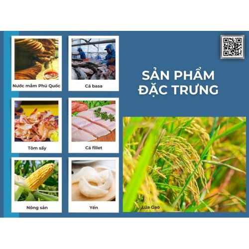 Gian Hàng Số Tỉnh An Giang Tại VNIS2025 | Triển Lãm Kết Nối Chuỗi Cung Ứng Quốc Tế