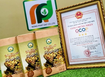 Tầm nhìn – Sứ mệnh – Giá trị cốt lõi