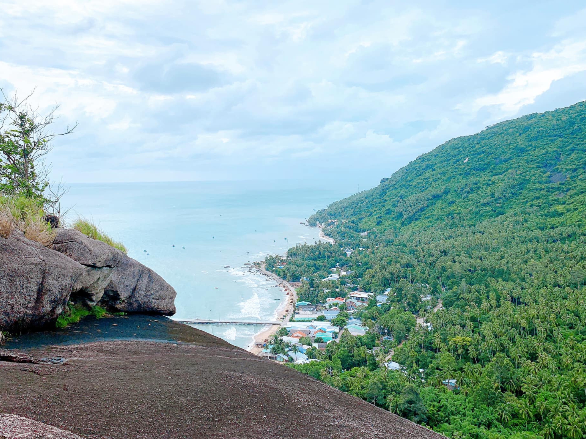 Giới thiệu tổng quan