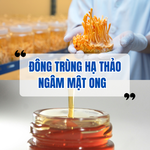 Đông Trùng Hạ Thảo Ngâm Mật Ong: Hướng Dẫn Cách Ngâm Đúng Tại Nhà