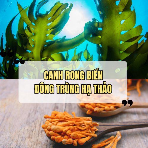 Canh Rong Biển Đông Trùng Hạ Thảo - Lựa Chọn Thông Minh Cho Bữa Ăn Nhanh