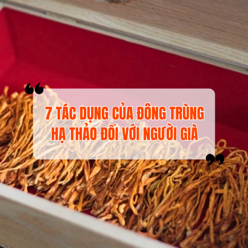 Hé lộ 7 tác dụng của đông trùng hạ thảo với người già