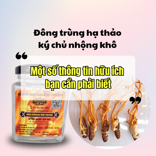 Một Số Thông Tin Hữu Ích Bạn Cần Biết Đông Trùng Hạ Thảo Ký Chủ Nhộng